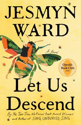 Book Cover:Let Us Descend Book Cover