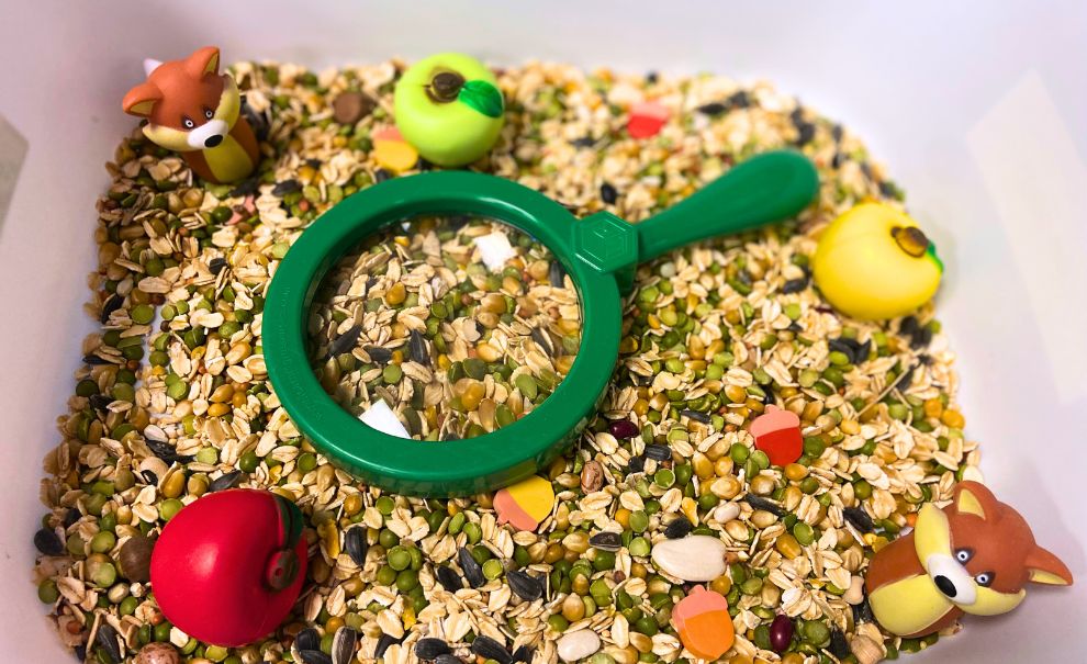 A photo of a sensory bin