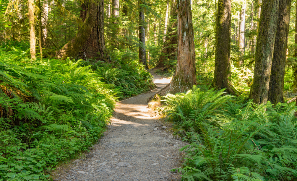 Hike