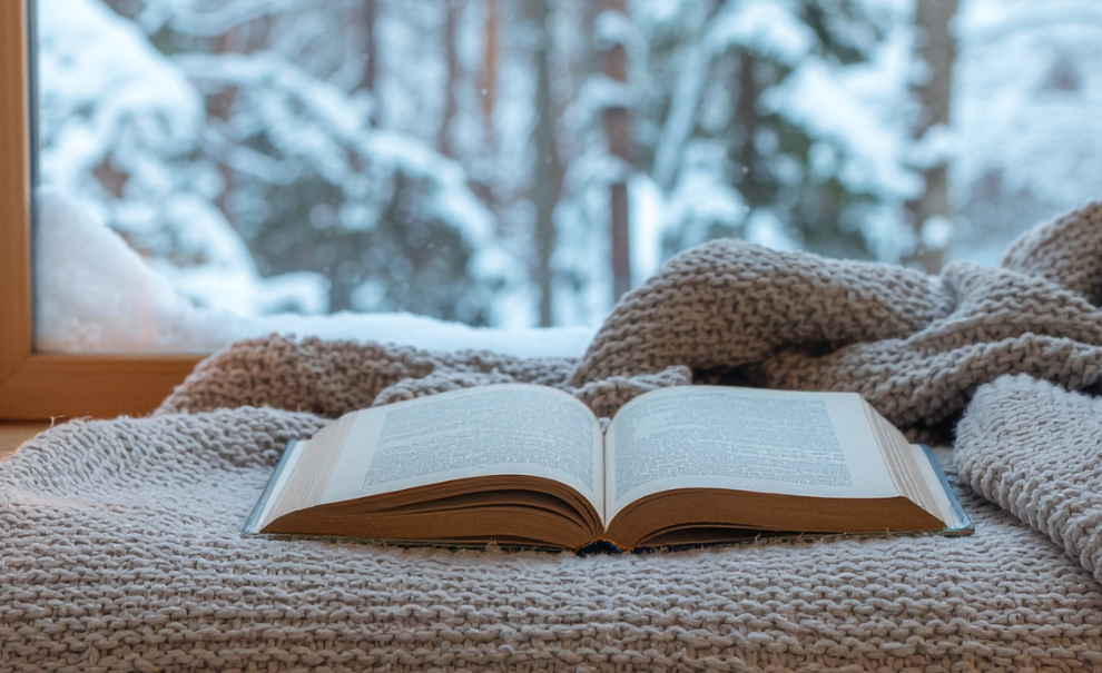 Book in winter