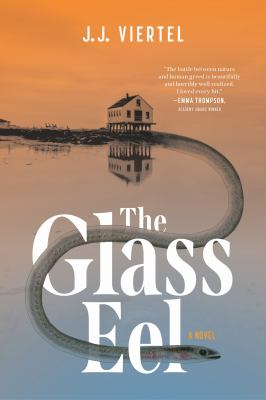 Book Cover:the glass eel book cover
