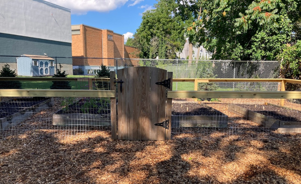 image of a garden in Wilcox Park
