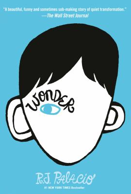 Book Cover:a cartoon boy with one eye on a blue background