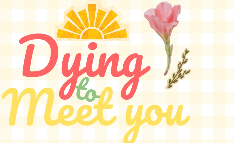 dying to meet you logo on yellow gingham background