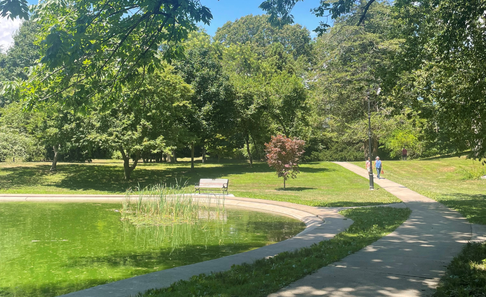 wilcox park with trees and pond and bench
