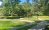 wilcox park with trees and pond and bench