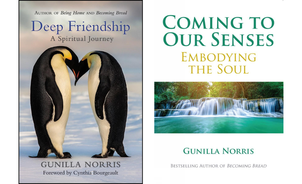 book covers of deep friendship and coming to our senses