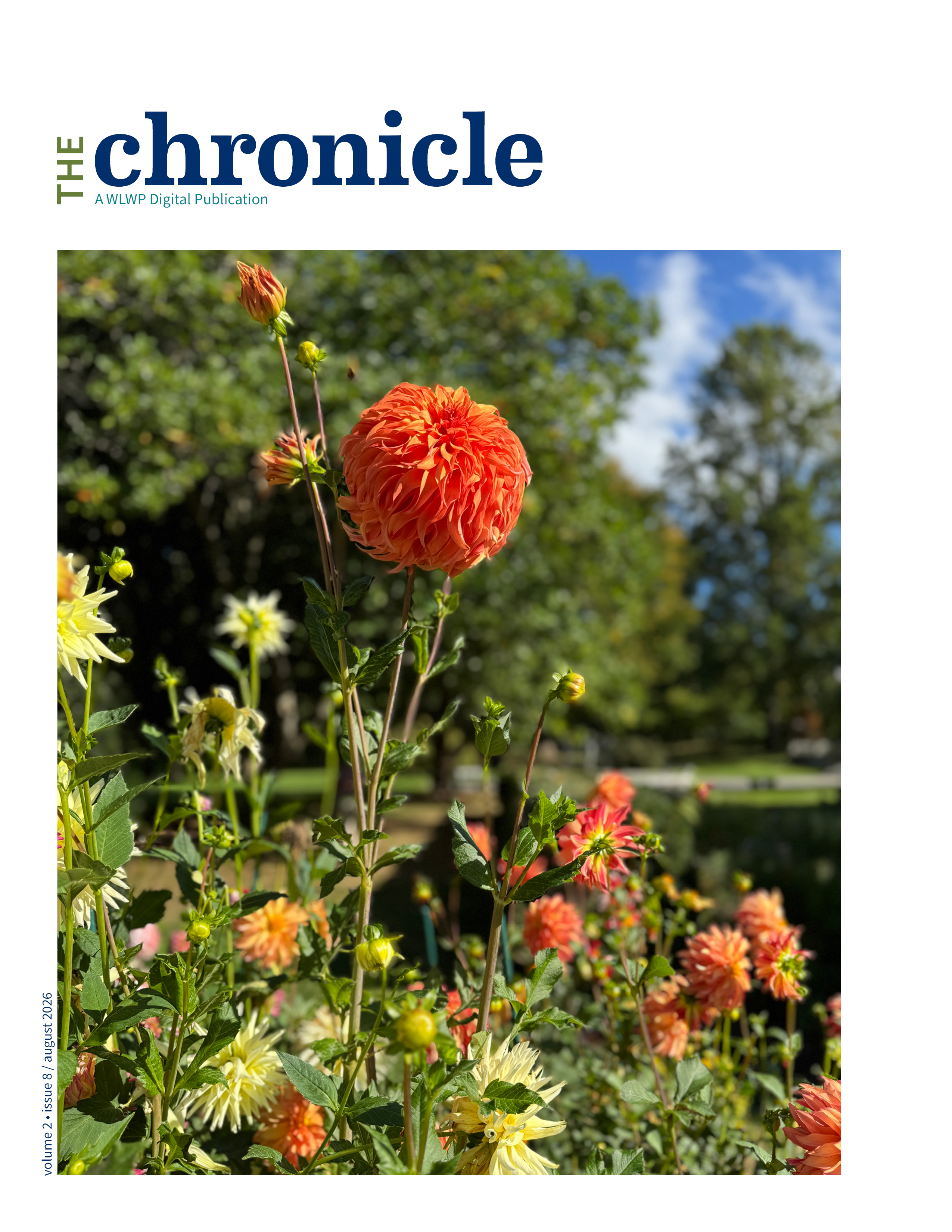 front cover of the chronicle with bright orange dahlias in the park
