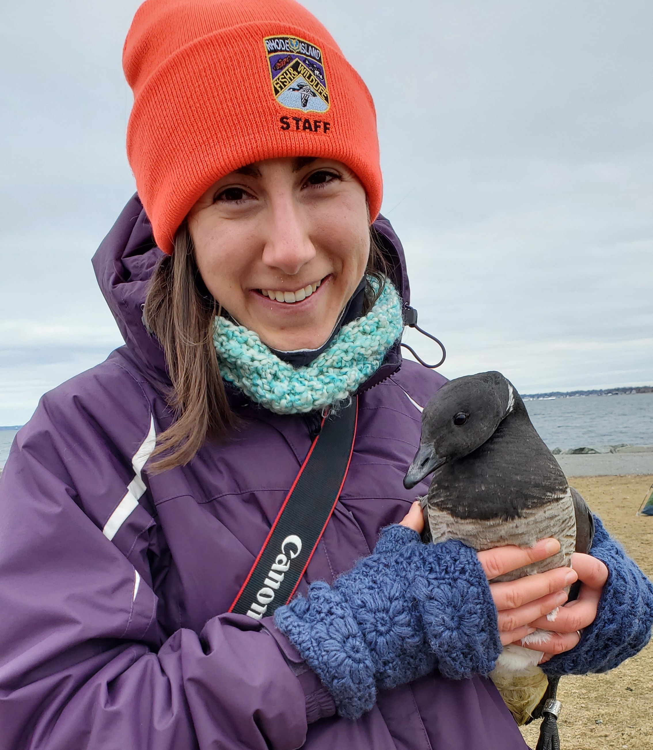 Wildlife Management Areas 101 with RI DEM | Westerly Library & Wilcox Park