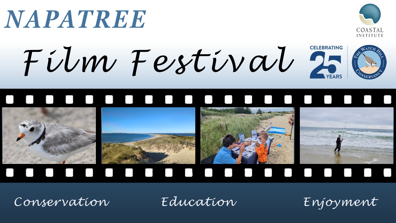 Napatree Film Festival Graphic