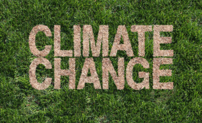 image of grass and text saying climate change