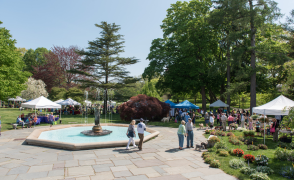 wilcox park memorial fountain, garden fair with tents, and attendees walking around