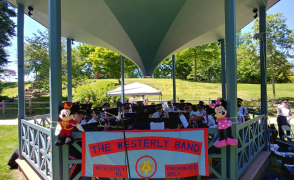 group of people playing various instruments in bandstand in the park