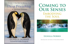 book covers of deep friendship and coming to our senses