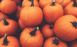 Pumpkins in a pile