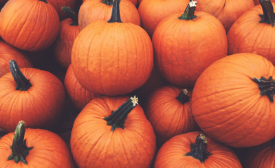 Pumpkin pile