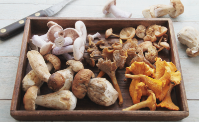 Wild Mushroom platter