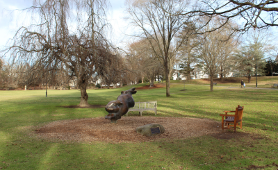 runaway bunny statue in wilcox park