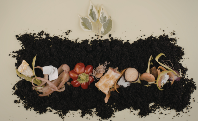 Compostable food lying on dirt