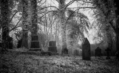Spooky b&W cemetery